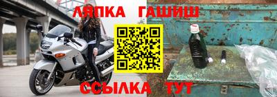 стаф Аргун