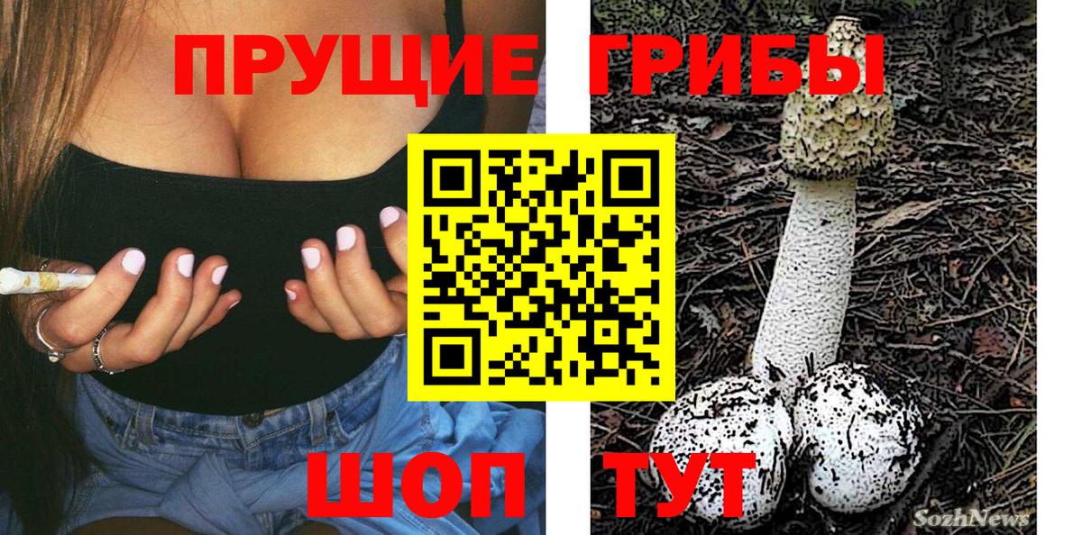 Псилоцибиновые грибы MAGIC MUSHROOMS Ахтубинск