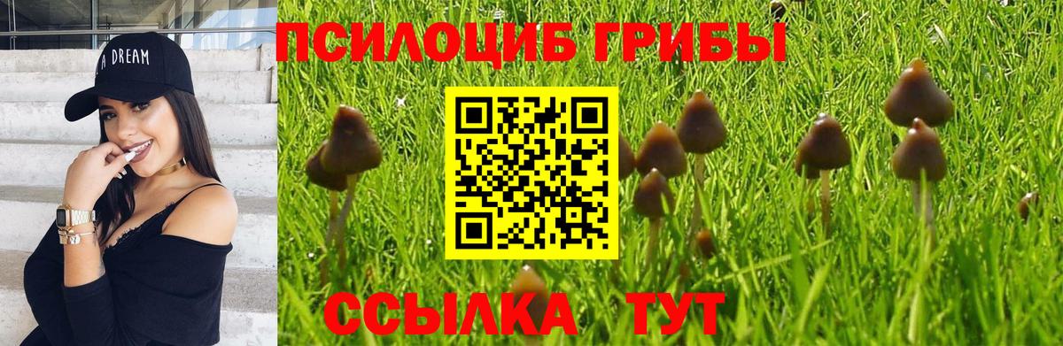 Мефедрон кристаллы  Кокаин  Вход с VPN  Гашиш  Ахтубинск  Конопля 