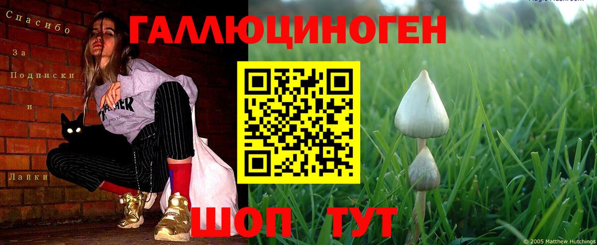 Ахтубинск  Псилоцибиновые грибы Magic Shrooms  Псилоцибиновые грибы Cubensis  Вход с VPN 